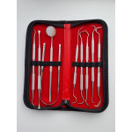 Diagnostic dental tool set in a case, 9 pcs