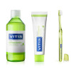 Set of Dentaid Vitis Orthodontic toothpaste 100 ml + rinse aid 500 ml + brush 1 pc