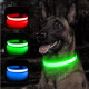 Collar with illumination for dogs on battery XS 28-38 cm, light green