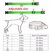 Collar with illumination for dogs on battery XS 28-38 cm, light green