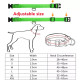 Collar with illumination for dogs on battery XS 28-38 cm, light green