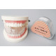 Dessa Dental USA Alignment Trainer T4A Orthodontic, soft trainer
