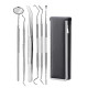 Diagnostic dental set of tools in a case, 6 pcs